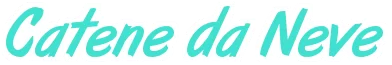 Catene da Neve